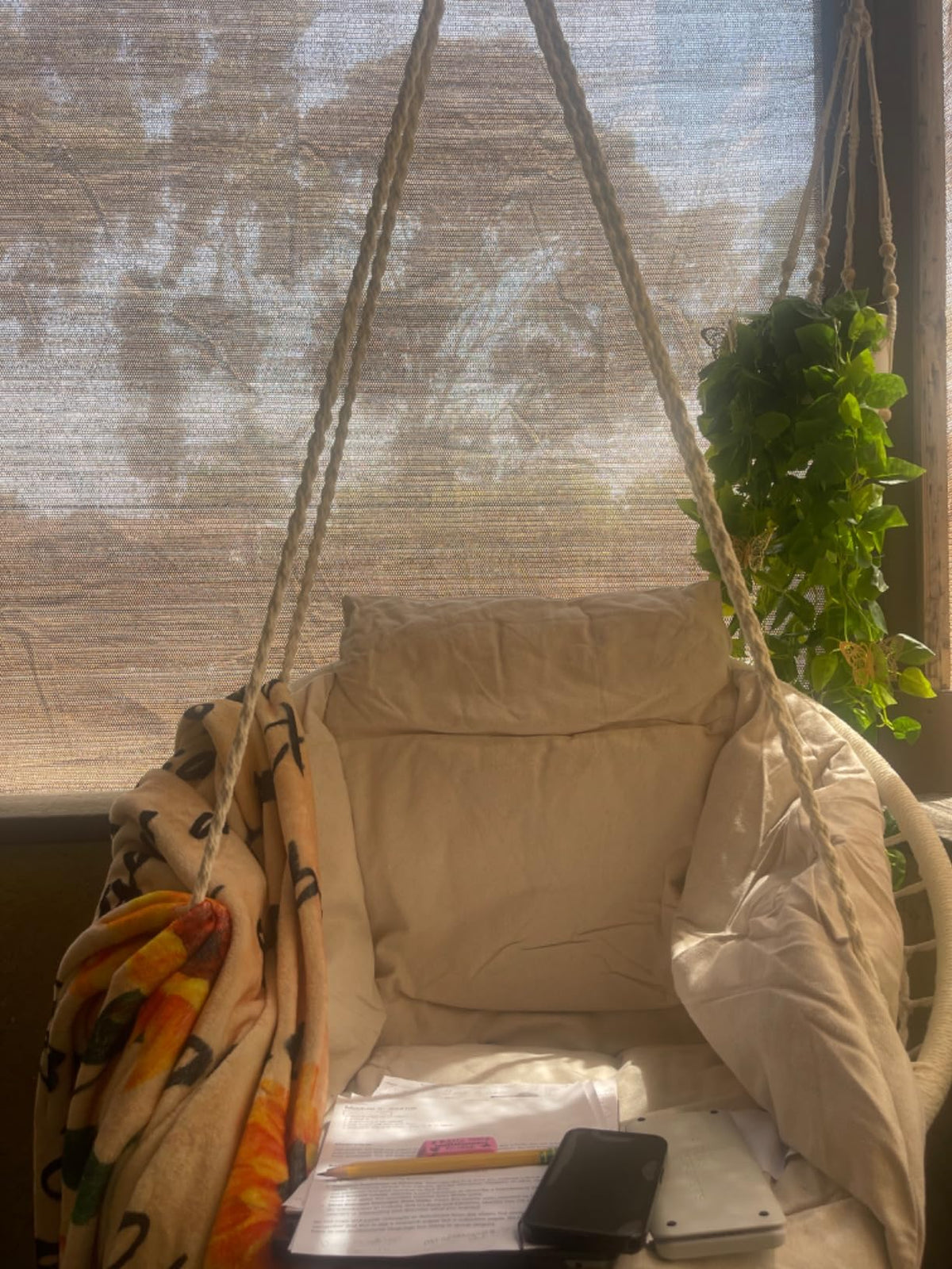 UGC customer photo 7 of the Hammora Cocoon Chair in a real home