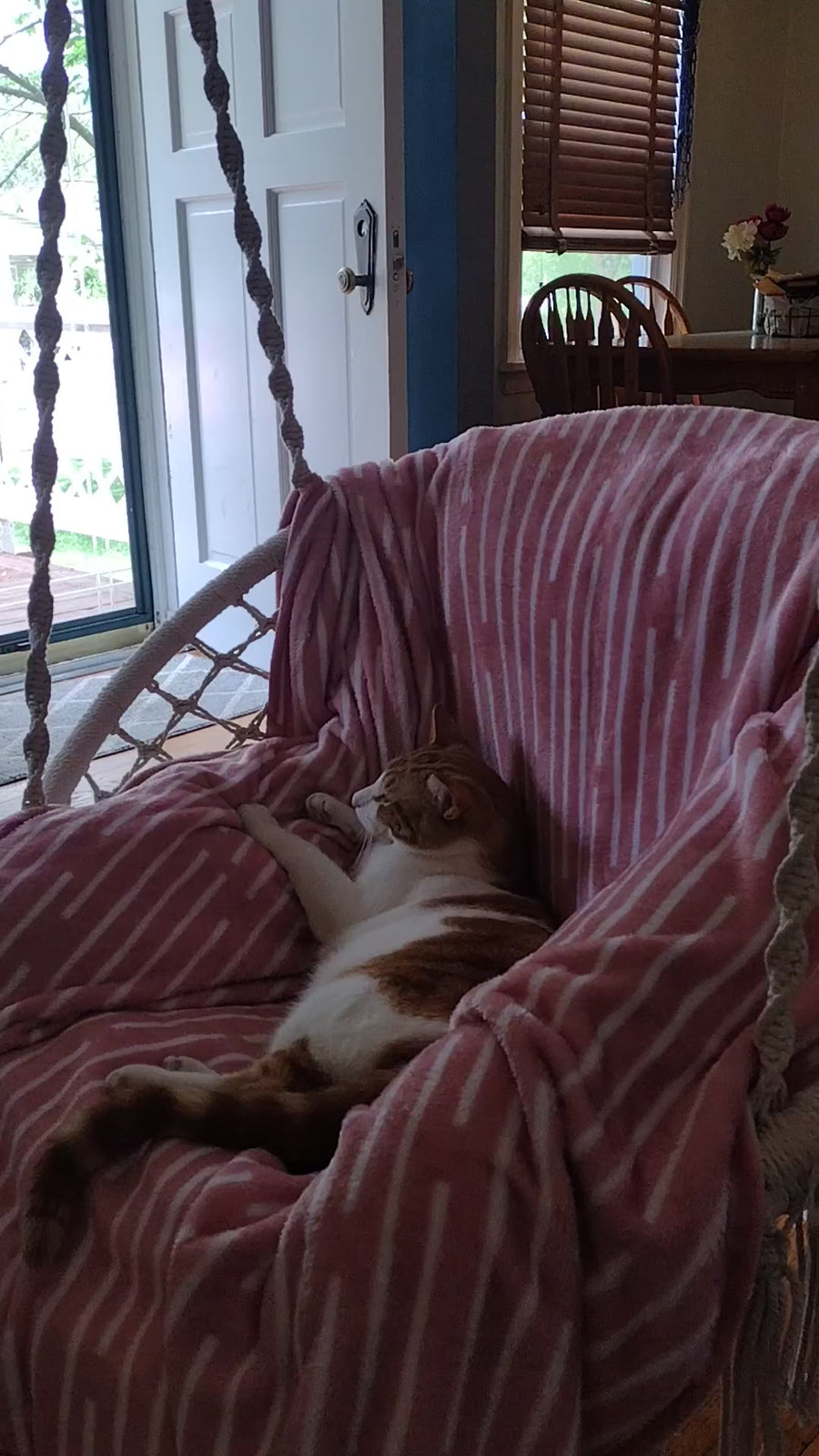 UGC customer video showing the Hammora Cocoon Chair