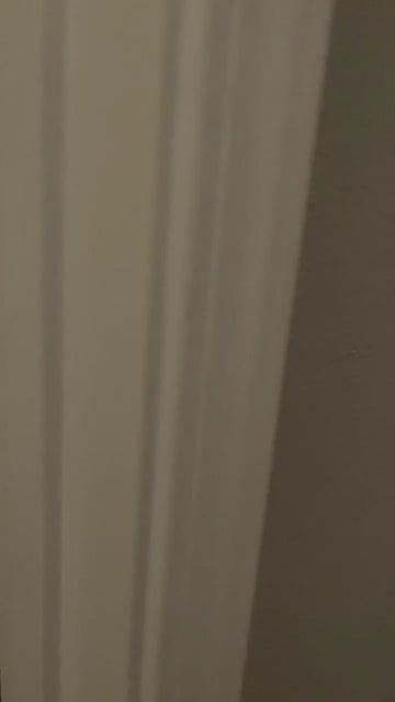 UGC customer video of the Hammora Cocoon Chair in a real home