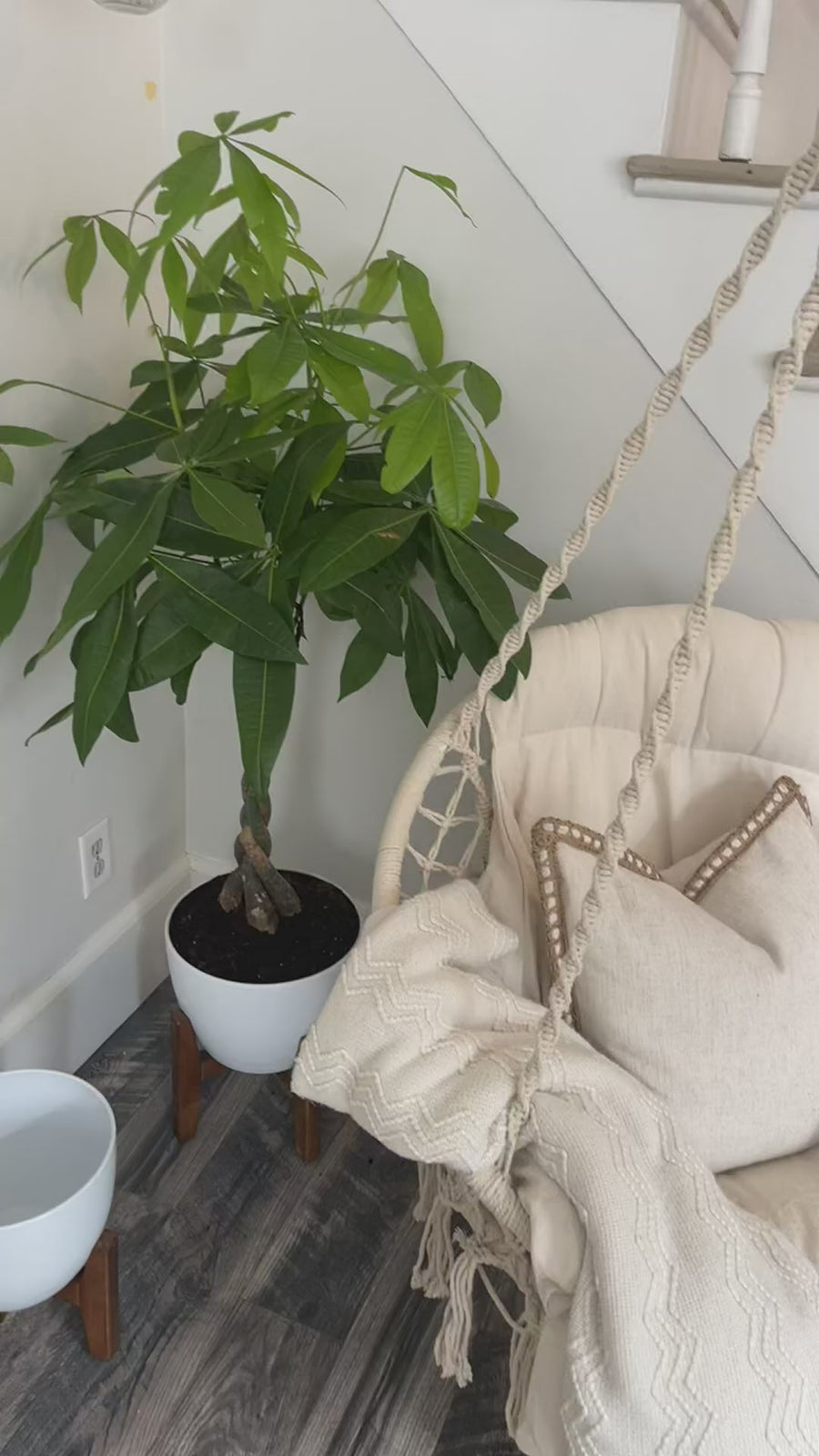 UGC customer video showing the Cocoon Chair in use